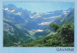 CPSM Gavarnie-Timbre        L2949 - Gavarnie