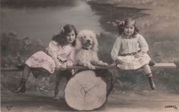 ANIMAUX LES CHIENS ET ENFANTS - Honden