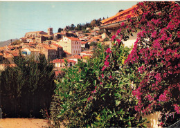 CPSM Hyères-Vue Générale        L2949 - Hyeres