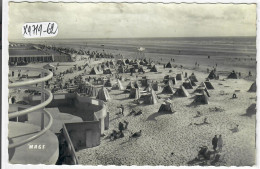 LE TOUQUET- PARIS-PLAGE- PLAGA A MAREE BASSE ET NOUVELLE DIGUE - Le Touquet