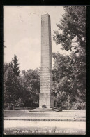 AK Morat, Le Monument De La Bataille De Morat  - Sonstige & Ohne Zuordnung