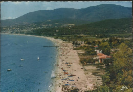 La Croix Valmer - La Plage - Au Loin Le Parc De Cavalaire - (P) - Autres & Non Classés