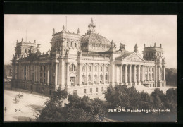 AK Berlin-Tiergarten, Blick Auf Reichstagsgebäude  - Dierentuin