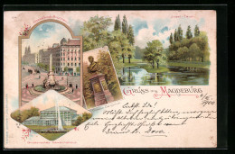 Lithographie Magdeburg, Hasselbach-Brunnen, Grusonsches Gewächshaus, Insel-Teich  - Maagdenburg