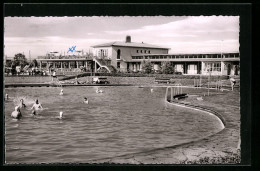 AK Wolfenbüttel, Blick Zum Schwimmbad  - Wolfenbuettel