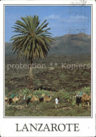 72419106 Lanzarote Kanarische Inseln Parque Nacional De Timanfaya  - Autres & Non Classés