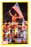 Sticker MERLIN Collection WWF 1993 - N°11 Et 12 : LEX LUGER - SCA - Autres & Non Classés