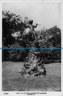 R144458 Peter Pan Statue. Kensington Gardens. London W. Kingsway. RP - Andere & Zonder Classificatie