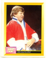 Sticker MERLIN Collection WWF 1993 - N°15 : BOB BACKLUND - SCB - Otros & Sin Clasificación