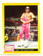 Sticker MERLIN Collection WWF 1993 - N°45 : BRET ’’HIT MAN HART’’ - SCD - Other & Unclassified