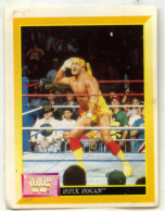 Sticker MERLIN Collection WWF 1993 - N°64 : HULK HOGAN - SCF - Sonstige & Ohne Zuordnung