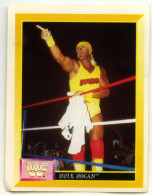 Sticker MERLIN Collection WWF 1993 - N°66 : HULK HOGAN - SCG - Autres & Non Classés