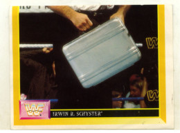 Sticker MERLIN Collection WWF 1993 - N°75 : IRWIN R. SCHYSTER - SCH - Autres & Non Classés