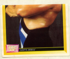 Sticker MERLIN Collection WWF 1993 - N°144 : LUDVIG BORGA - SCJ - Other & Unclassified