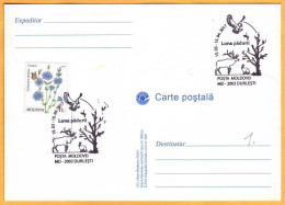 2017 Moldova Moldavie Special Postal Cancellation. "Month Of The Forest". Elk, Hare, Butterflies, Flowers, Birds. - Moldavië