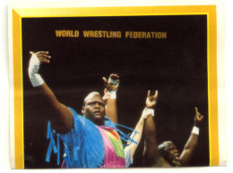 Sticker MERLIN Collection WWF 1993 - N°246 : MEN ON A MISSION - SCO - Other & Unclassified