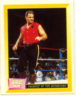 Sticker MERLIN Collection WWF 1993 - N°257 : JACQUES OF THE QUEBECERS - SCP - Autres & Non Classés