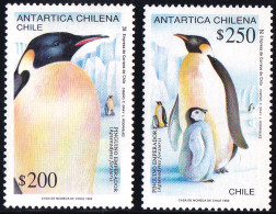 ARCTIC-ANTARCTIC, CHILE 1992 ANTARCTIC CLAIMS, KING PENGUINS** - Faune Antarctique