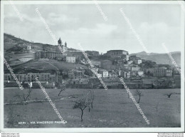 Ca652 Cartolina Acri Via Vincenzo Padula Provincia Di Cosenza Calabria - Cosenza