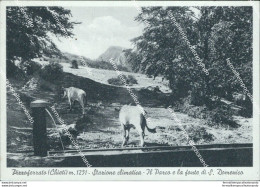 Ca648 Cartolina Pizzoferrato Il Parco E La Fonte Di S.domenico Chieti Abruzzo - Chieti