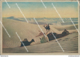 Ca610 Cartolina Ex Colonie Tripoli Sosta Nel Deserto Storia Postale Libia 1941 - Other & Unclassified