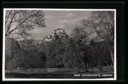 AK Hochosterwitz, Blick Auf Die Burg  - Andere & Zonder Classificatie