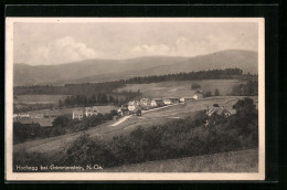 AK Hochegg Bei Grimmenstein, Ortsansicht Aus Der Vogelschau  - Sonstige & Ohne Zuordnung