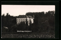 AK Steinakirchen A. F., Schloss Ernegg Im Grünen  - Autres & Non Classés