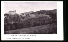 AK Kranichberg Bei Gloggnitz, Blick Auf Den Ort  - Autres & Non Classés