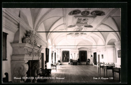 AK Horn, Schloss Greillenstein, Museum, Rittersaal  - Autres & Non Classés