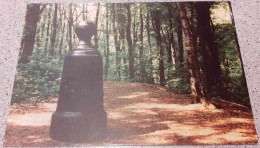 CPA - BRAINE-LE-COMTE - Le Bonhomme De Fer Dans Le Bois De La Houssière - 1996 - Vierge - Braine-le-Comte