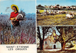 04-SAINT ETIENNE LES ORGUES-N°613-B/0115 - Autres & Non Classés