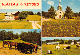 01-PLATEAU DE RETORD-N°613-A/0049 - Zonder Classificatie