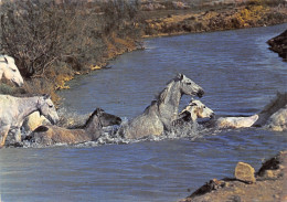 13-LES SAINTES MARIES DE LA MER-CHEVAUX TRAVERSANT UN COURS D EAU-N°613-D/0321 - Saintes Maries De La Mer