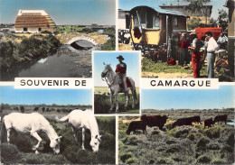 13-LES SAINTES MARIES DE LA MER-SOUVENIR DE CAMARGUE-N°613-D/0305 - Saintes Maries De La Mer