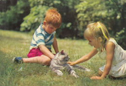 ANIMAUX LES CHATS ET LES ENFANTS - Katten