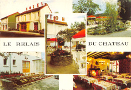 21-LA ROCHEPOT-LE RELAIS DU CHÂTEAU-N°614-D/0123 - Sonstige & Ohne Zuordnung