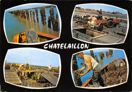 17-CHATELAILLON-LES BOUCHOLEURS-N°614-B/0305 - Châtelaillon-Plage