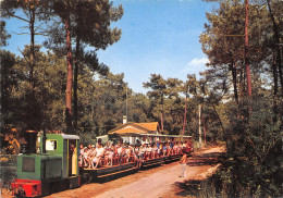 17-ILE D OLERON-SAINT TROJAN DES BAINS-PETIT TRAIN-N°614-B/0291 - Ile D'Oléron