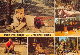 17-LA PALMYRE-PARC ZOOLOGIQUE-N°614-B/0179 - Other & Unclassified