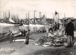 29-CONCARNEAU-ARRIVEE DE LA PECHE AU THON-N°615-C/0215 - Concarneau