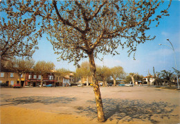 26-BEAUVALLON-PLACE DU MARCHE-N°615-B/0031 - Autres & Non Classés