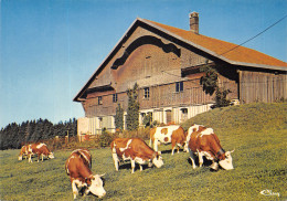 25-CHAUFFAUD-VIEILLE FERME FRANC COMTOISE-N°615-A/0279 - Sonstige & Ohne Zuordnung