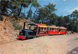 33-CAP FERRET-LE PETIT TRAIN-N°616-A/0385 - Other & Unclassified