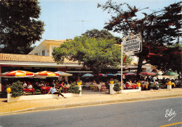 33-PILAT SUR MER-HOTEL LA GUITOUNE-N°616-A/0305 - Sonstige & Ohne Zuordnung