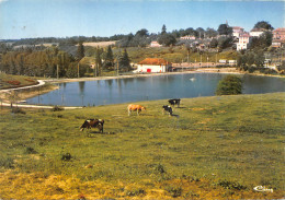 32-CASTELNAU D AUZAN-LE LAC DU COCUT-N°616-A/0267 - Sonstige & Ohne Zuordnung