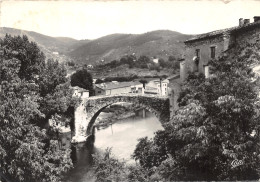 30-LE VIGAN-VIEUX PONT SUR L ARRE-N°616-A/0061 - Le Vigan