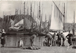 29-CONCARNEAU-THONIERS DANS LE PORT-N°615-D/0293 - Concarneau