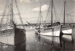 29-CAMARET-LANGOUSTIERS-N°615-D/0219 - Camaret-sur-Mer