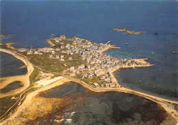 29-ILE DE SEIN-VUE AERIENNE-N°615-C/0303 - Ile De Sein